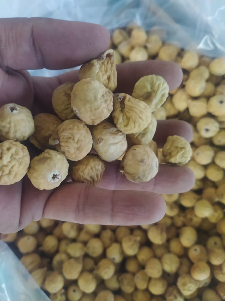 خرید و فروش انجیر سوپر سایز دو آ با کیفیت صادراتی